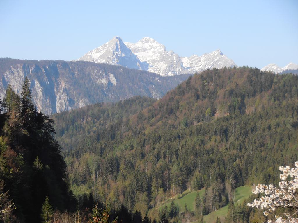 Penzion Pr' Betel Jesenice Bagian luar foto